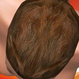 c01676193 0000001707755197