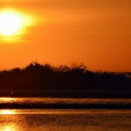 partner heterosexual hot girl Polly_, Because i like :),  for adult online game playing