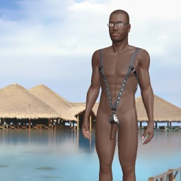 multiplayer virtual sex game player heterosexual pervert boy Ronnie55, usa, looking to have fun