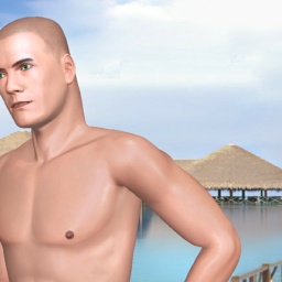 multiplayer virtual sex game player heterosexual pervert boy AECRAFTY, USA, 
