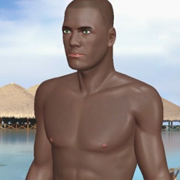 see heterosexual brute boy Rishafa61,  while playing porn game online