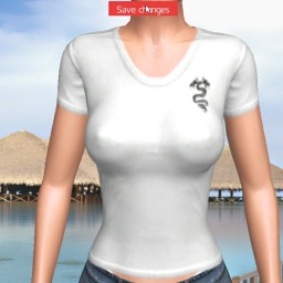 sexgame online MMO playing with adult member heterosexual emotional girl Sage722, 