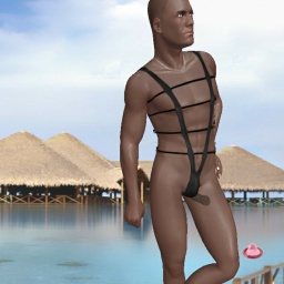 sexgame online for adults like heterosexual erotomanic boy BlackSalami, Nigga, very big and black :)