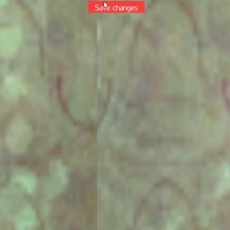 partner  hot shemale Wintonl12, ., . for adult online game playing