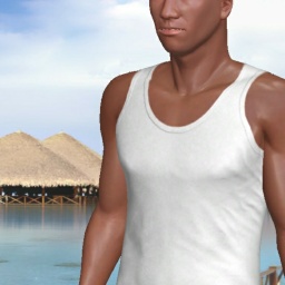 sexgame online MMO playing with adult member heterosexual hot boy Grandman2, 