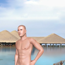 multiplayer virtual sex game player heterosexual pervert boy Tt66t, 