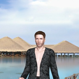 see heterosexual sex maniac boy Celak,  while playing porn game online