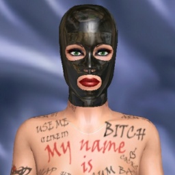 free 3D sex game adventures with heterosexual sex maniac girl S4D1N4, CHILE, cojo por gusto, no por dinero como las demas que son parasitas