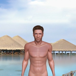 see heterosexual pervert boy Ragdon, usa,  while playing porn game online