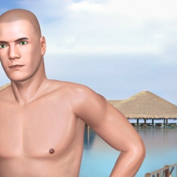 3D sex game community member homosexual erotomanic boy HemmiC, USA, 