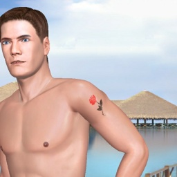 virtual sex game playing w. single girls like heterosexual amatory boy Aplayer007, UAE, Love everyone, 