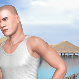 partner heterosexual erotomanic boy SurfGuy,  for adult online game playing