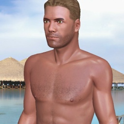 adults enjoying 3D sex games like heterosexual fond boy Shinobi0, USA, 