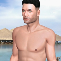 multiplayer virtual sex game player  hot boy Ariost, 