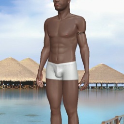 partner heterosexual sentimental boy T870125,  for adult online game playing