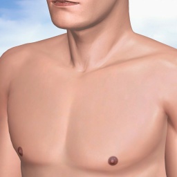 free 3D sex game adventures with heterosexual narcissist boy Solidgear, puerto rico, got a thing for big asses