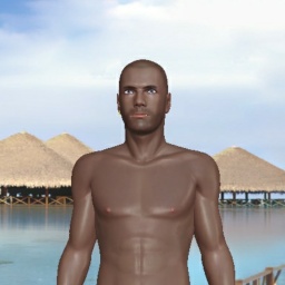 enjoy virtual sex games with mates like heterosexual bugger boy Cheulaa, FR, 