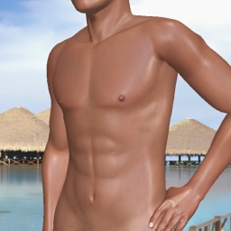 connect and play virtual 3D sex with heterosexual hot boy Rx6960, 