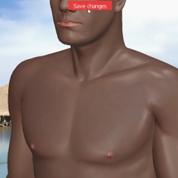 3Dsex game playing AChat community member heterosexual fiend boy Hornylad007, 