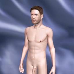 3Dsex game playing AChat community member heterosexual lush boy Bipolarka, 