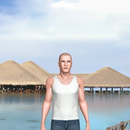 multiplayer virtual sex game player heterosexual lush boy Hhank, usa, 