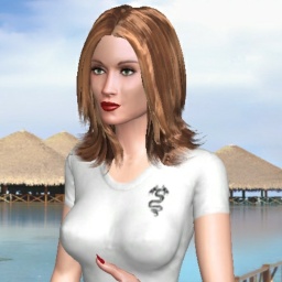 partner  hot shemale YYYTTT,  for adult online game playing