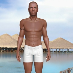 play virtual sex games with mate  hot boy Bbcw01, 