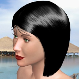3Dsex game playing AChat community member bisexual bugger girl Iceberg2332, 