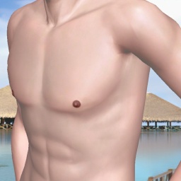 play online virtual sex game with member homosexual sex maniac boy Thorsteen, 