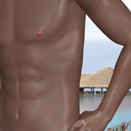 3Dsex game playing AChat community member heterosexual bugger boy Fuckmyass22, 