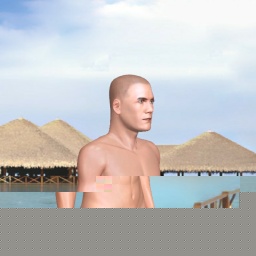 partner heterosexual erotic boy V1oReL,  for adult online game playing
