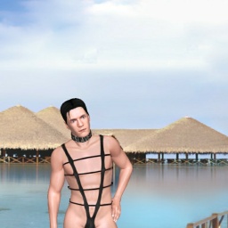 see bisexual sodomist boy Link02, slave for mistress while playing porn game online