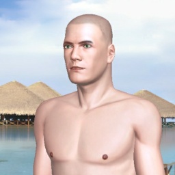 see heterosexual pervert boy Tundra2022,  while playing porn game online
