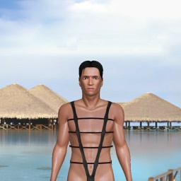 3Dsex game playing AChat community member bisexual bugger boy Link1k, salve for mistress