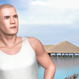 sexgame online MMO playing with adult member heterosexual loving boy Nero256, 