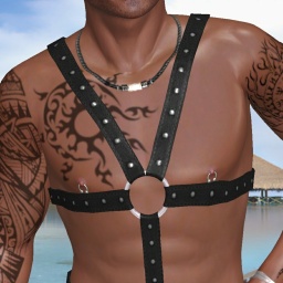 3Dsex game playing AChat community member bisexual erotomanic boy BigBamboo, 