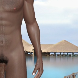 for 3D virtual sex game, join and contact heterosexual erotomanic boy Mandoo, Dirty talk, 