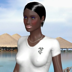 best sim sex game online with homosexual erotomanic shemale DomHottie, US, 