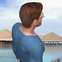 adults enjoying 3D sex games like heterosexual erotomanic boy Matrix99, usa, 