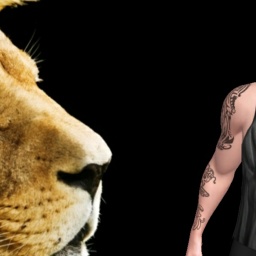 partner heterosexual lecher boy SX6699,  for adult online game playing