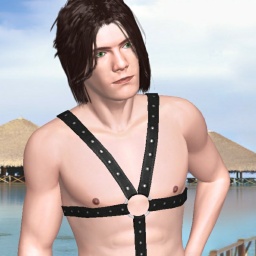 for 3D virtual sex game, join and contact heterosexual bugger boy Lucky_Wild, Mexico, 
