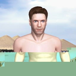 partner heterosexual conversable boy Nikar,  for adult online game playing