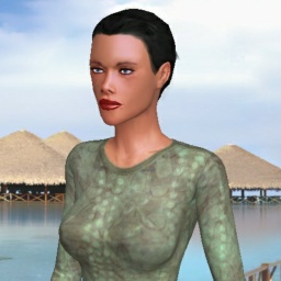 play virtual sex games with mate  hot shemale Versex, 