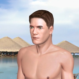 see heterosexual brute boy Root01234,  while playing porn game online
