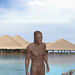 connect and play virtual 3D sex with heterosexual pervert boy Nigger12333, 