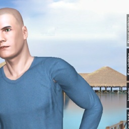 adults enjoying 3D sex games like heterosexual fond boy Acidux, Colombia, 