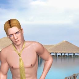 for 3D virtual sex game, join and contact heterosexual fiend boy Liontiii, Germany, 