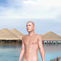 see heterosexual sensual boy StallionX,  while playing porn game online