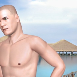 multiplayer virtual sex game player heterosexual narcissist boy Peran, Sweden, 