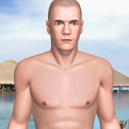 see heterosexual talkative boy C0rnHu8, America, Idk,  while playing porn game online